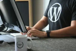Wordpress Admin Email Save