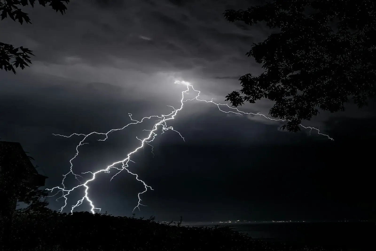 lightning fast wordpress hosting by foxco