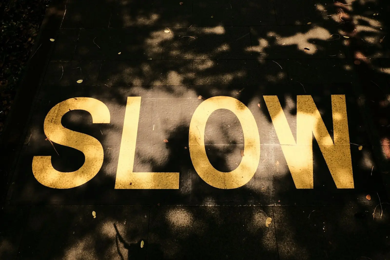 Do Deactivated WordPress Plugins Slow Down My Site?