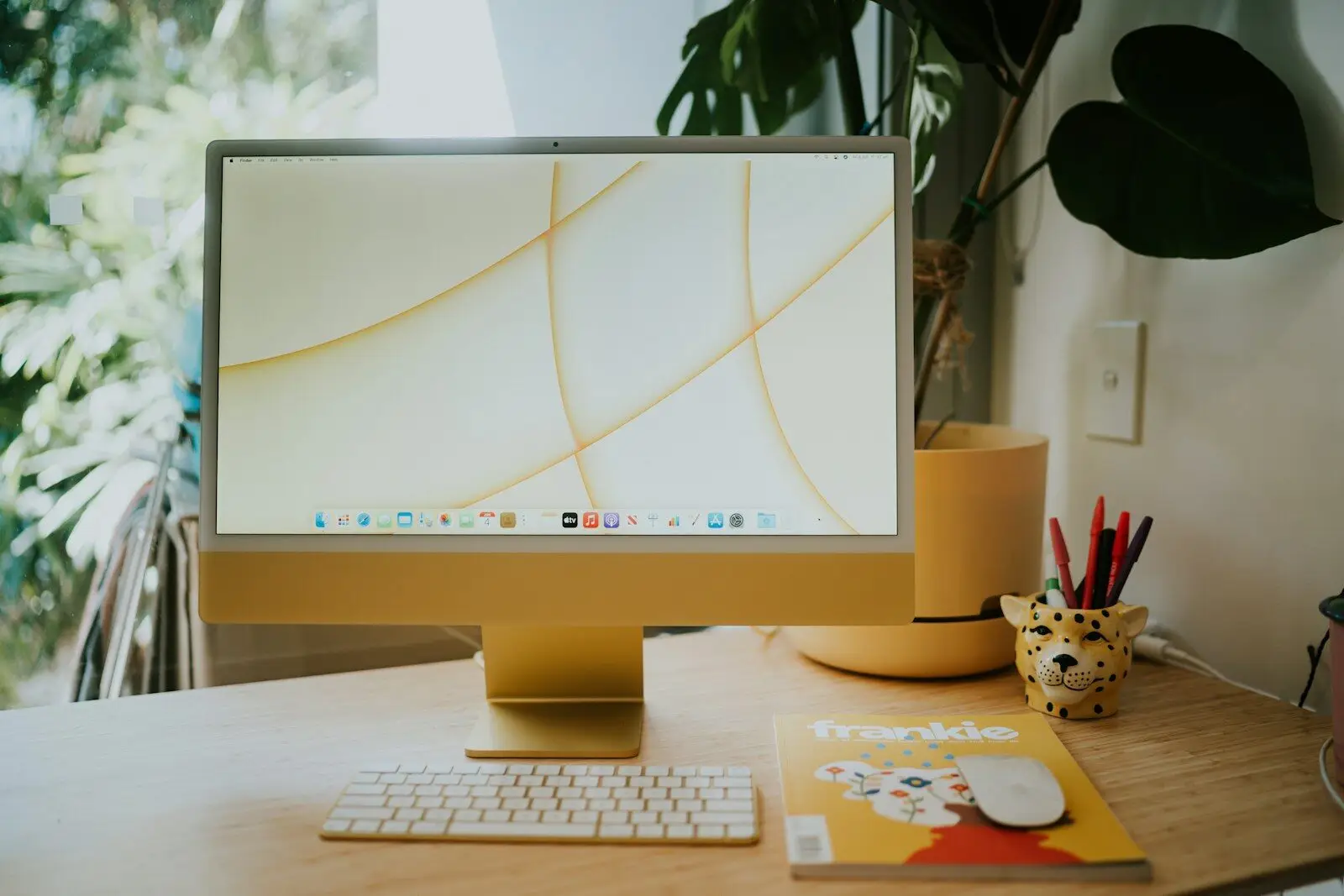 bottom dock header